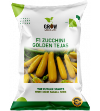 Zucchini / Tori F1 Golden Tejas 20 grams